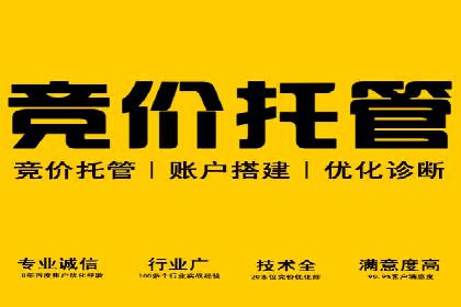 电商平台的SEM关键词优化与推广案例